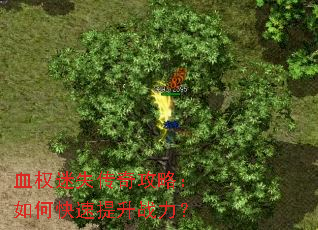 ѪȨ��ʧ���湥�ԣ���ο�������ս����