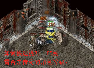 ��ο�������1.85��ѩ�ϻ�����Ľ�ɫ�ȼ���