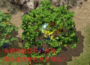 ��ο�������1.85��ѩ�ϻ�����Ľ�ɫ�ȼ���