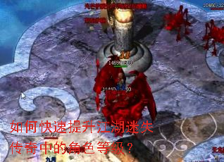 ��ο�������������ʧ�����еĽ�ɫ�ȼ���