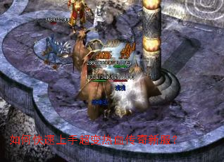 ��ο������ֳ�����Ѫ�����·���