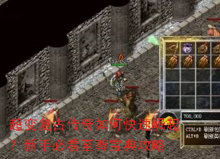 ���临�Ŵ�����ο����������ֱؿ����𱦵乥��