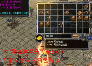 如何快速提升传奇65535迷失版本的角色等级? 如何快速提升传奇65535迷失版本的角色等级?