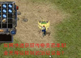 ��ο��ٻ�ȡ�����̬��ְҵ�޵ȼ����ƵĶ���װ����