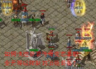 ��ο��ٻ�ȡ�����̬��ְҵ�޵ȼ����ƵĶ���װ����