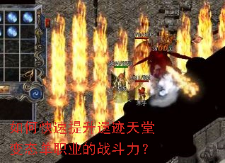 ��ο��������ż����ñ�̬��ְҵ��ս������