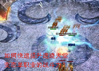 ��ο��������ż����ñ�̬��ְҵ��ս������