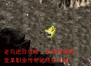 老鸟进阶攻略:如何破解超变单职业传奇的终极之秘? 老鸟进阶攻略:如何破解超变单职业传奇的终极之秘?