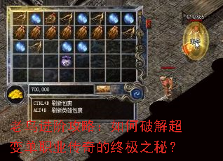 老鸟进阶攻略:如何破解超变单职业传奇的终极之秘? 老鸟进阶攻略:如何破解超变单职业传奇的终极之秘?