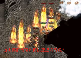 ��ʧ���ɴ�����ο��������ȼ���