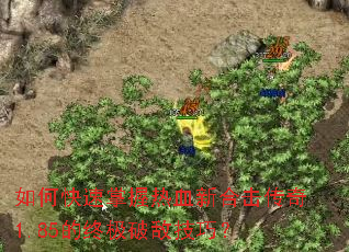 ��ο���������Ѫ�ºϻ�����1.85���ռ��Ƶм��ɣ�