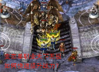 ��̬��ְҵ�����޼���ο�������ս����