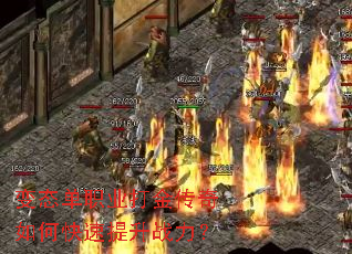 ��̬��ְҵ�������ο�������ս����