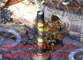 超级变态传奇新服怎么玩?新手如何从零开始称霸玛法大陆? 超级变态传奇新服怎么玩?新手如何从零开始称霸玛法大陆?