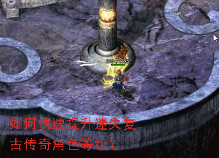 ��ο���������ʧ���Ŵ����ɫ�ȼ���