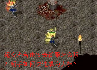 ����̬�ϻ������·���ô�棿������ο��ٳ�Ϊ����