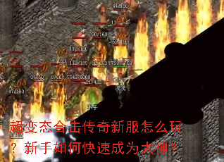 ����̬�ϻ������·���ô�棿������ο��ٳ�Ϊ����