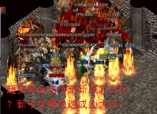 ����̬�ϻ������·���ô�棿������ο��ٳ�Ϊ����