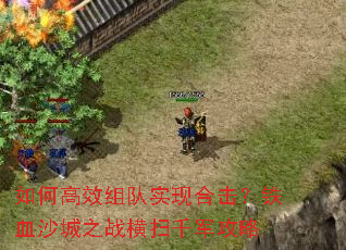 ��θ�Ч���ʵ�ֺϻ�����Ѫɳ��֮ս��ɨǧ������