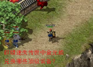 Ⱥ����ʧ�����н�Ԫ�ܶһ���Щ����װ����