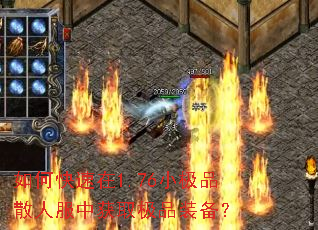 ��ο�����1.76С��Ʒɢ�˷��л�ȡ��Ʒװ����