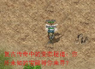 ���Ŵ����еı�̬�ص�������δ֪�ı��ص�����Ѱ��