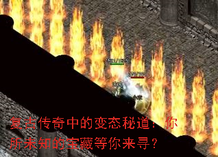 ���Ŵ����еı�̬�ص�������δ֪�ı��ص�����Ѱ��