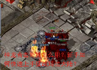 �����ϻ������ô�ã�������ο���������ս�귨��½��