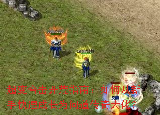 ����ϻ�����ָ�ϣ���δ����ֿ��ٳɳ�Ϊ�ʵ�������У�