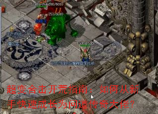 ����ϻ�����ָ�ϣ���δ����ֿ��ٳɳ�Ϊ�ʵ�������У�