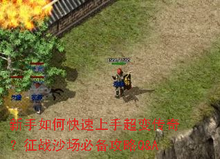 ������ο������ֳ��䴫�棿��սɳ���ر�����Q&A