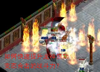 ��ο����������񱶹���̬�ϻ���ս������