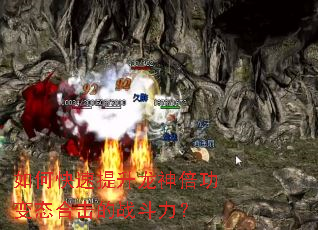 ��ο����������񱶹���̬�ϻ���ս������