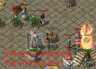 ��ο��ٻ�ȡ��Ѫ������ʧ�汾�еĶ���װ����