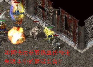 ��ο��ٻ�ȡ��Ѫ������ʧ�汾�еĶ���װ����