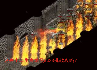 ��ʧʮ����Ф��ͼBOSS��ս���ԣ�