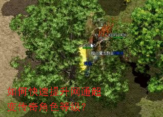 ��ο���������ͨ���䴫���ɫ�ȼ���