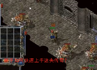 ������ο���������ʧ���棿