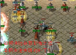 ��ο��ٻ�ȡ��ָ֮ŭ��ְҵ��ʧ��Ĳ�����