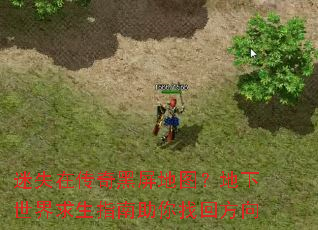 ��ʧ�ڴ��������ͼ��������������ָ�������һط���