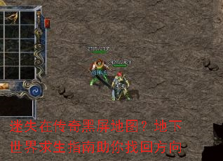 ��ʧ�ڴ��������ͼ��������������ָ�������һط���