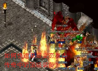 ��ο��ٻ�ȡ��̬���Ŵ����еĶ���װ����