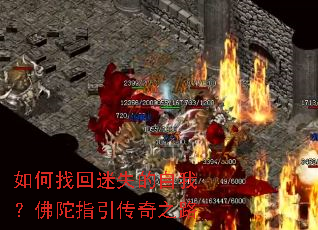 ����һ���ʧ�����ң�����ָ������֮·