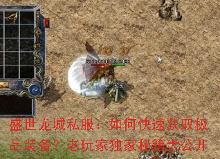 ʢ������˽������ο��ٻ�ȡ��Ʒװ��������Ҷ����ؼ��󹫿�