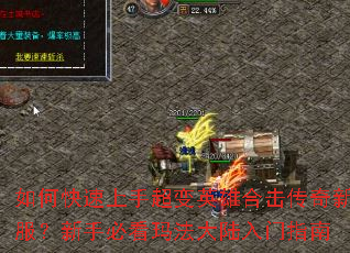 ��ο������ֳ���Ӣ�ۺϻ������·������ֱؿ��귨��½����ָ��