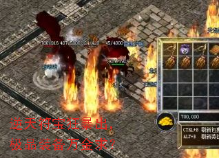 ��������񱩳�����Ʒװ�������