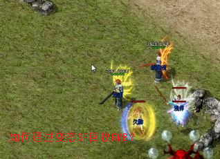 ���ͨ����̬SF����RMB��