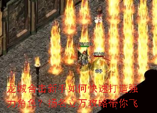 ���Ǻϻ�������ο��ٴ���ǿ����ɫ�����������Դ����