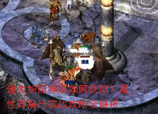 ��ʧ���������λ�ȡ�����������ʵս����ȫ����