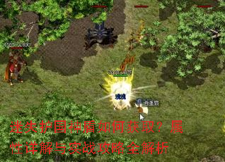 ��ʧ���������λ�ȡ�����������ʵս����ȫ����